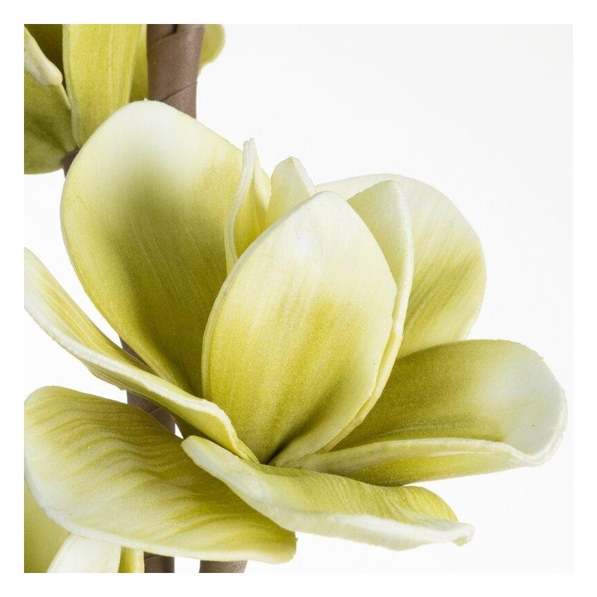 Eurofirany KW/FLORE/713/SEE SOUL – 2