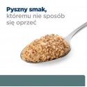 HILL'S Prescription Diet Diabetes Care Chicken - märg koeratoit - 370g