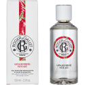 Roger & Gallet Unisex kvepalai Roger & Gallet Gingembre Rouge EDT (100 ml) Roger & Gallet Unisex kvepalai Roger & Gallet Gingembre Rouge EDT (100 ml)