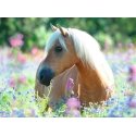 Ravensburger 13294 pusle 300 tk Animals Ravensburger 13294 pusle 300 tk Animals