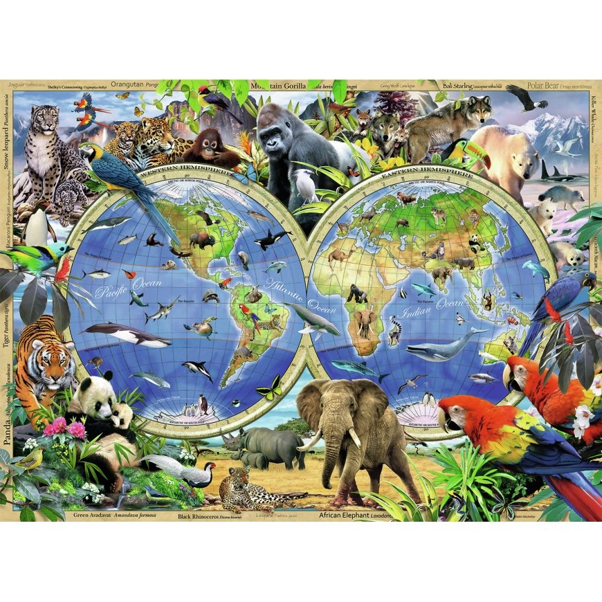 Ravensburger World Of Wildlife (300 Pieces) 300 kpl – 4