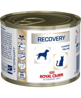 Royal Canin Recovery Täiskasvanu 195 g