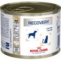 Royal Canin Recovery Suaugusių 195 g