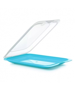 Food storage container for cold cut products Fresh 17x25,2x3,2cm