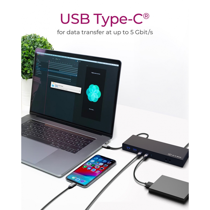 ICY BOX IB-DK2245AC Vadu USB 3.2 Gen 1 (3.1 Gen 1) Type-C Melns – 4