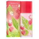 Elizabeth Arden Green Tea Lychee Lime EDT tualetinis vanduo moterims, 100 ml Elizabeth Arden Green Tea Lychee Lime EDT tualetinis vanduo moterims, 100 ml