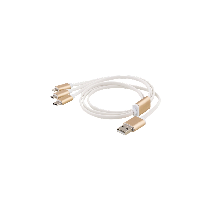Deltaco USB-MULTI10 USB kabelis 1 m
