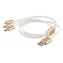 Deltaco USB-MULTI10 USB-kaapeli 1 m USB A USB C Kulta, Valkoinen Deltaco USB-MULTI10 USB-kaapeli 1 m USB A USB C Kulta, Valkoinen
