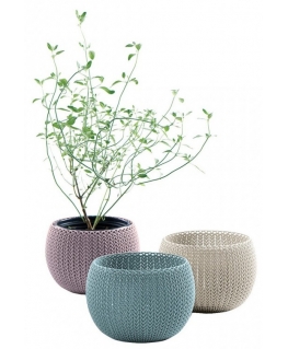 Flower pot set Cozies Trio purple|beige|light blue