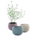 Flower pot set Cozies Trio purple|beige|light blue Flower pot set Cozies Trio purple|beige|light blue