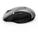 Pelė Genius Pelė Ergo 8200S, 1200DPI, 2.4 [GHz], optinė, 5kl., belaidė, sidabrinė, 1 vnt AA, Mėlyna-Eye sensor, Adapteris USB-C