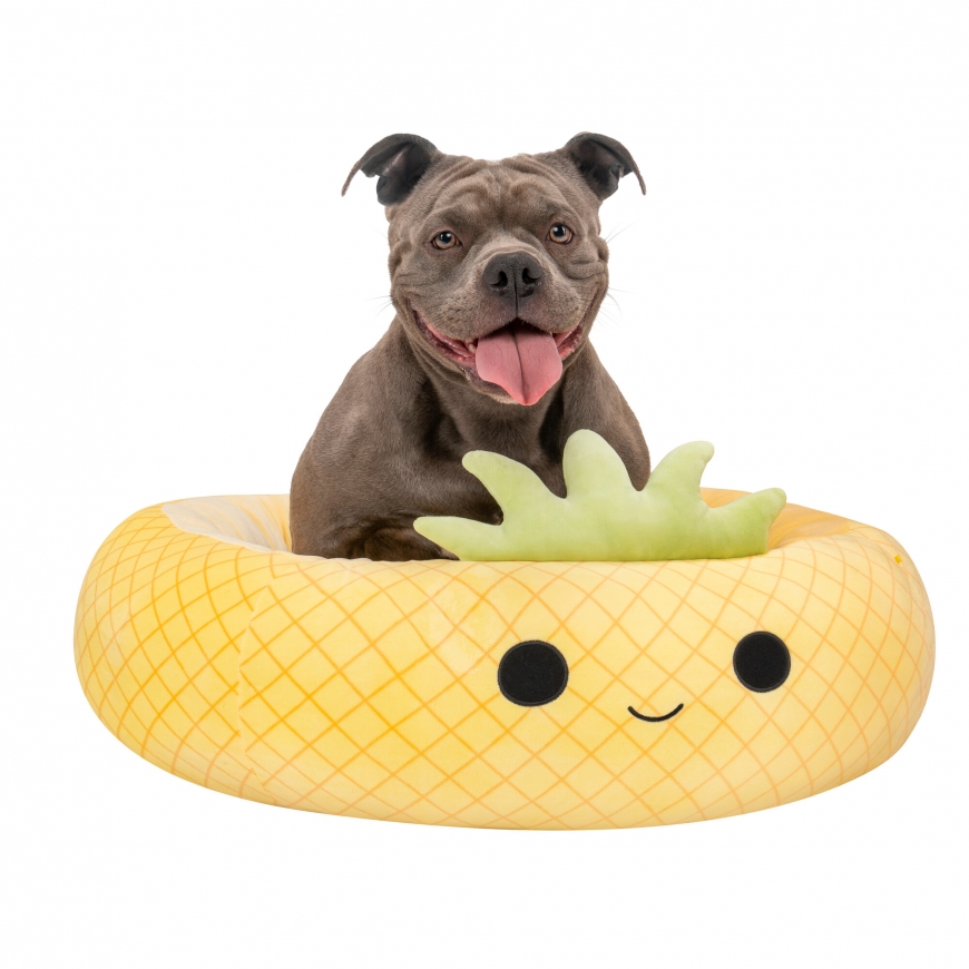 SQUISHMALLOWS lemmikloomavoodi ananass Maui, 75 cm – 4