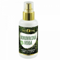 Purity Vision Pine Bio Water Facial Lotion and Spray unisex, 100 ml Purity Vision Pine Bio Water Facial Lotion and Spray unisex, 100 ml