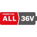 Bosch F016800346 elektrilise tööriista aku ja laadija Patarei