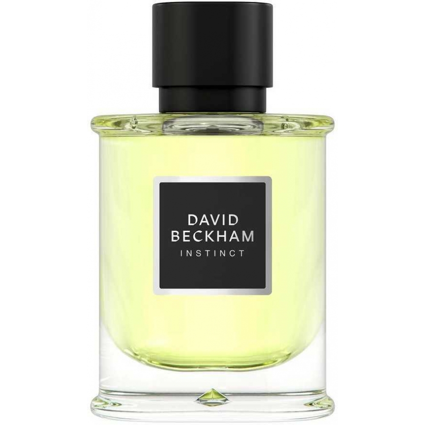 David Beckham David Beckham Instinct EDP