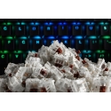Glorious PC Gaming Race GAT-BROWN avainkytkin Ruskea 120 kpl