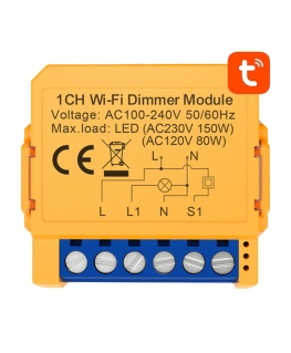 Smart socket switch WiFi Avatto DMS16-2 TUYA
