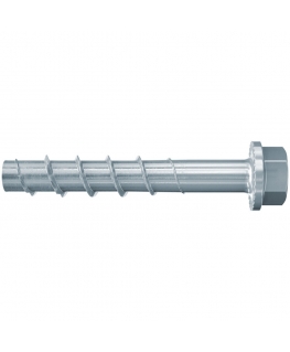 Fischer 536854 varžtai 90 mm 50 vnt Varžtas