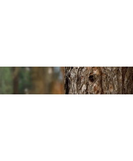 Pjūklo grandinė Stihl Super Pro 14'' 35 cm .325'' 56 1,3 mm