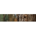 Saw chain Stihl Super Pro 14'' 35 cm .325'' 56 1.3 mm Saw chain Stihl Super Pro 14'' 35 cm .325'' 56 1.3 mm