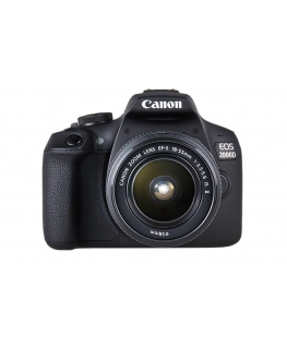 Canon EOS 2000D + EF-S 18-55mm f/3.5-5.6 IS II + EF 75-300mm f/4-5.6 III