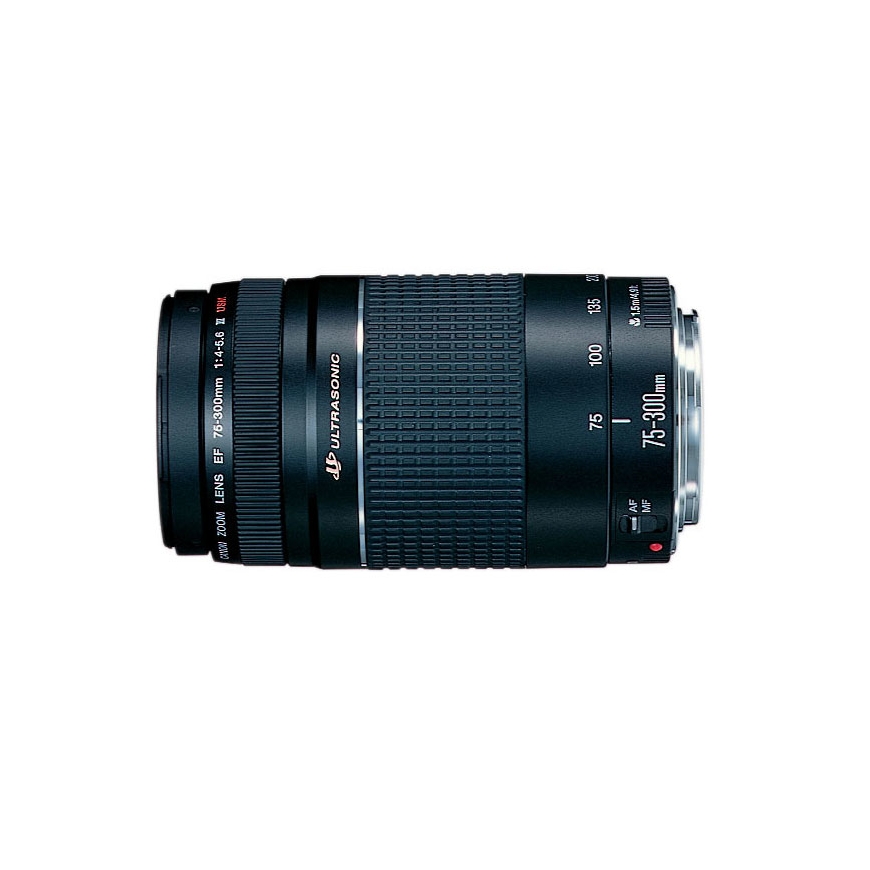 Canon EOS 2000D + EF-S 18-55mm f/3.5-5.6 IS II + EF 75-300mm f/4-5.6 III SLR Camera Kit 24.1 MP CMOS – 3