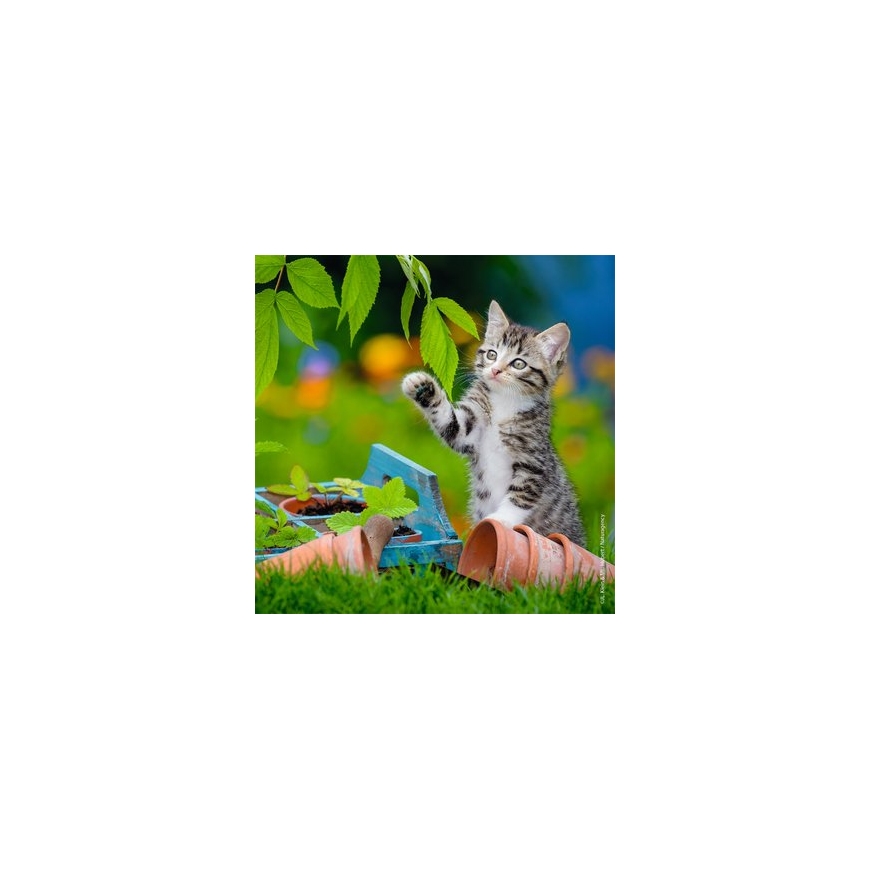 Ravensburger 08046 pusle Kontuurpusle 49 tk Animals – 4