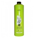 Oxidizing emulsion L'oreal Professionnel iNOA Oil Delivery System 6% 20vol. 1000 ml