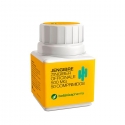 Botanicapharma imbieras 500 mg 50 tablečių Botanicapharma imbieras 500 mg 50 tablečių