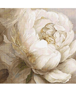 luca S Counted cross stitch kit "Bjūnų pozos" 35x35cm SLETIL8083