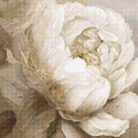 luca S Counted cross stitch kit "Bjūnų pozos" 35x35cm SLETIL8083 luca S Counted cross stitch kit "Bjūnų pozos" 35x35cm SLETIL8083