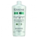 Šampūnas pažeistiems plaukams Kérastase Resistance Bain Force Architecte Šampūnas 1000 ml Šampūnas pažeistiems plaukams Kérastase Resistance Bain Force Architecte Šampūnas 1000 ml