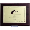 Tryumf Diploma is made of plastic with an engraved metal plate