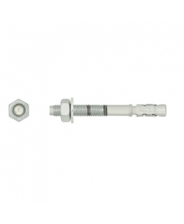 Ankerinis varžtas RawlPlug R-XPT-10080/10 10x80 mm 50 vnt.
