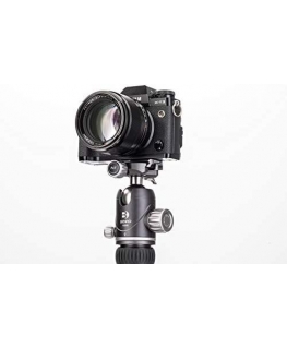 Benro VX30+PU50X galvutė