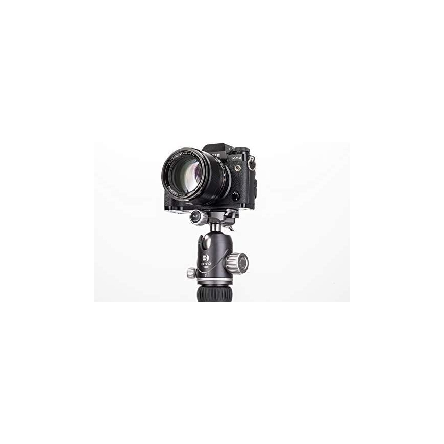 Benro VX30+PU50X head