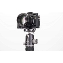 Benro VX30+PU50X galvutė
