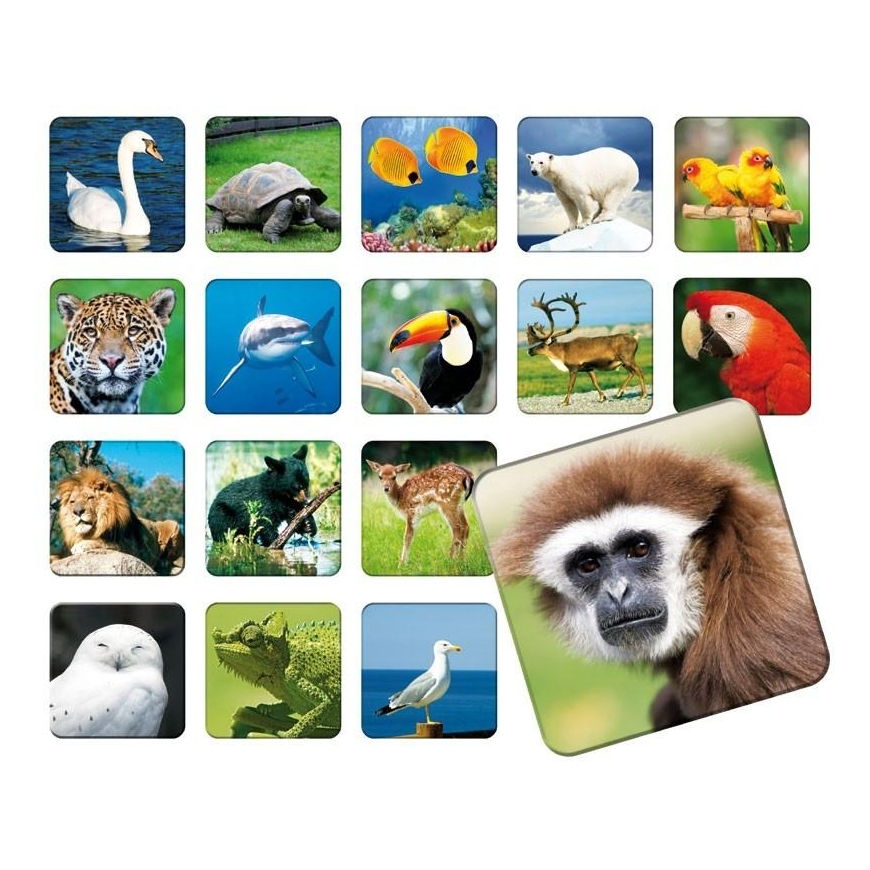Adamigos Memorial Zoo – 3
