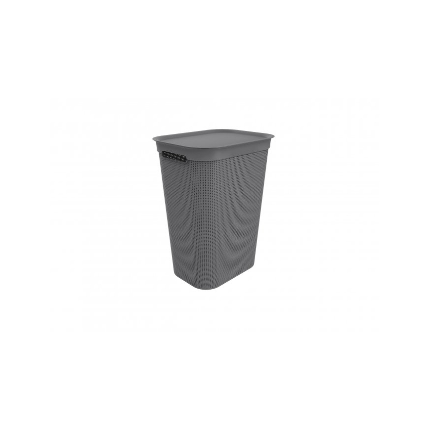 Rotho Brisen 50 L Rectangular Plastic Anthracite