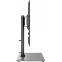 Laikiklis Cabletech Stovas - universali kojelė 32"-55" televizoriui