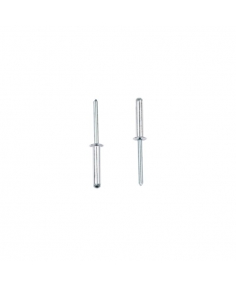 Kniedės MASTERFIX 1031 4x6mm, 1000vnt.