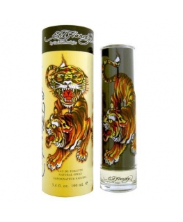 Christian Audigier Ed Hardy Men´s EDT tualetinis vanduo vyrams, 100 ml