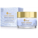 Ava Laboratorium Złoto Lodowca active regenerating face cream 50ml Ava Laboratorium Złoto Lodowca active regenerating face cream 50ml