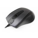 A4Tech N-500F kompiuterio pelė Dešinės rankos USB A tipo V-Track 1600 DPI A4Tech N-500F kompiuterio pelė Dešinės rankos USB A tipo V-Track 1600 DPI
