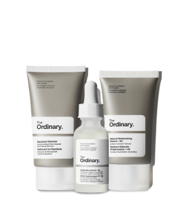 The Ordinary The Daily Set 110