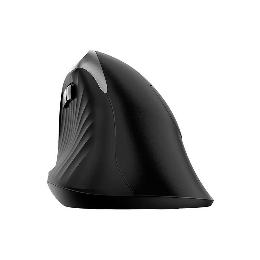 Pelė Genius Pelė Ergo 8250S, 1600DPI, 2.4 [GHz], optinė, 6kl., belaidė, juoda-sidabrinė, 1 vnt AA, wertykalna – 3