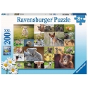 Ravensburger 13353 паззл Составная картинка-головоломка 200 шт