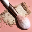 Ecotools Luxe Soft Highlight 1 U Ecotools Luxe Soft Highlight 1 U