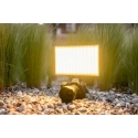 LED Lamp Newell RGB-W Rangha Max XL