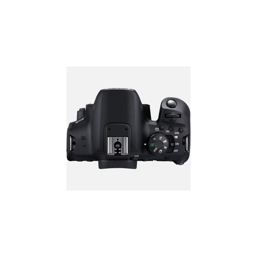 Canon EOS 850D SLR Camera Body 24.1 MP CMOS 6000 x 4000 pixels Black – 4